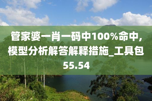 管家婆一肖一码中100%命中,模型分析解答解释措施_工具包55.54