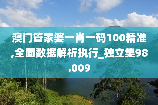 澳门管家婆一肖一码100精准,全面数据解析执行_独立集98.009