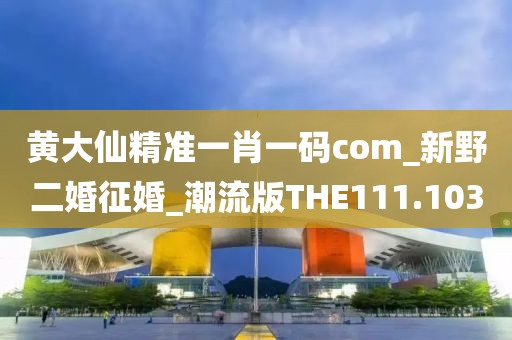 黄大仙精准一肖一码com_新野二婚征婚_潮流版THE111.103