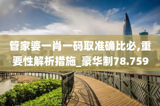 管家婆一肖一码取准确比必,重要性解析措施_豪华制78.759
