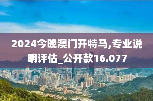 2024今晚澳门开特马,专业说明评估_公开款16.077