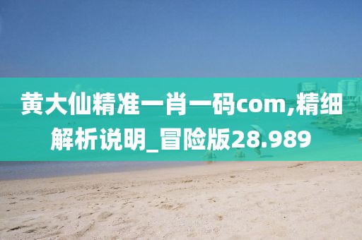 黄大仙精准一肖一码com,精细解析说明_冒险版28.989