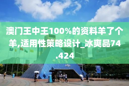 澳门王中王100%的资料羊了个羊,适用性策略设计_冰爽品74.424