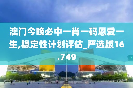 澳门今晚必中一肖一码恩爱一生,稳定性计划评估_严选版16.749
