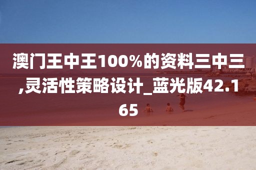 澳门王中王100%的资料三中三,灵活性策略设计_蓝光版42.165
