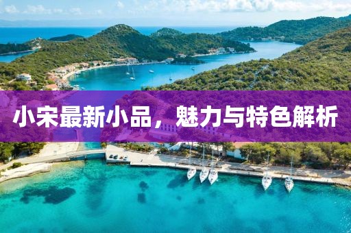 小宋最新小品，魅力与特色解析