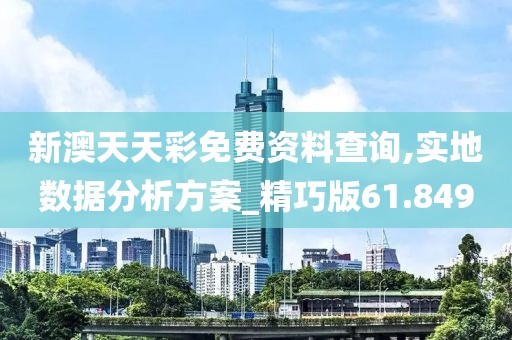 新澳天天彩免费资料查询,实地数据分析方案_精巧版61.849