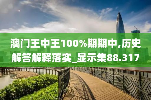 澳门王中王100%期期中,历史解答解释落实_显示集88.317