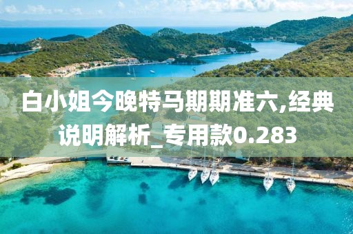 白小姐今晚特马期期准六,经典说明解析_专用款0.283