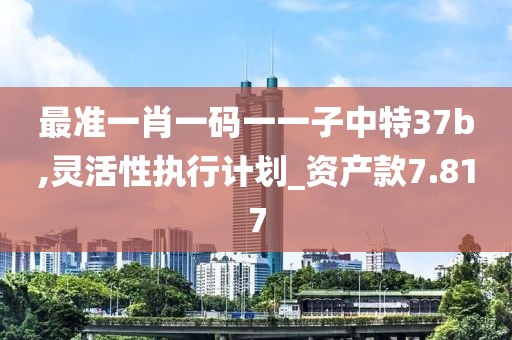 最准一肖一码一一子中特37b,灵活性执行计划_资产款7.817