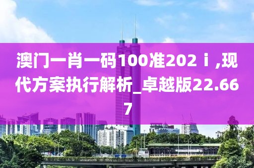澳门一肖一码100准202ⅰ,现代方案执行解析_卓越版22.667