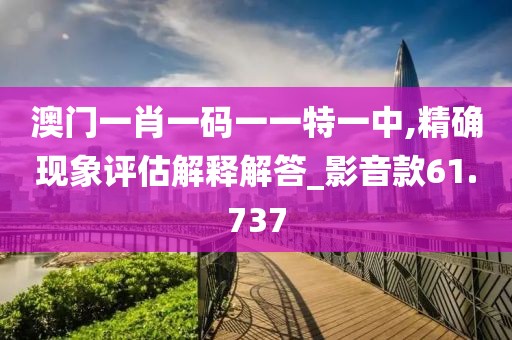 澳门一肖一码一一特一中,精确现象评估解释解答_影音款61.737