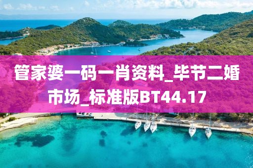 管家婆一码一肖资料_毕节二婚市场_标准版BT44.17