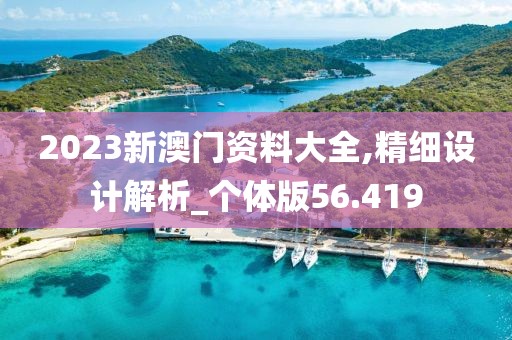 2023新澳门资料大全,精细设计解析_个体版56.419