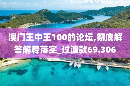 澳门王中王100的论坛,彻底解答解释落实_过渡款69.306