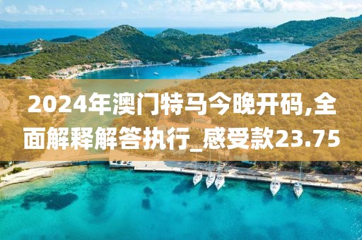 2024年澳门特马今晚开码,全面解释解答执行_感受款23.75