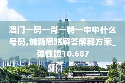 澳门一码一肖一特一中中什么号码,创新思路解答解释方案_弹性版10.687