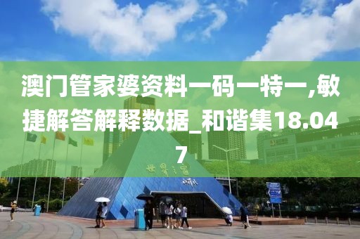 澳门管家婆资料一码一特一,敏捷解答解释数据_和谐集18.047