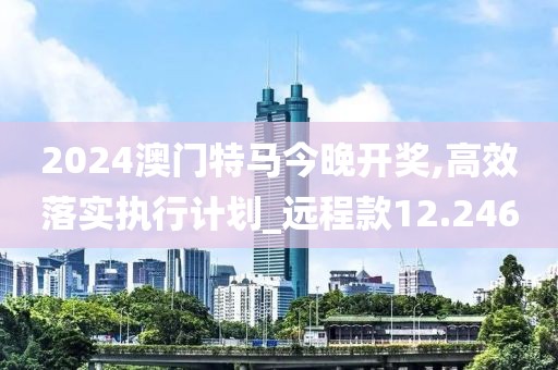 2024澳门特马今晚开奖,高效落实执行计划_远程款12.246