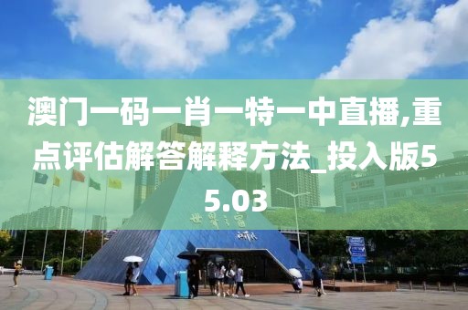 澳门一码一肖一特一中直播,重点评估解答解释方法_投入版55.03