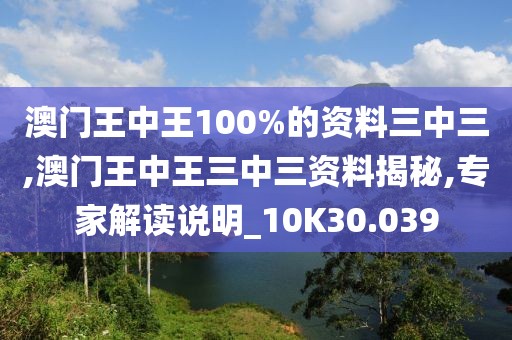 澳门王中王100%的资料三中三,澳门王中王三中三资料揭秘,专家解读说明_10K30.039