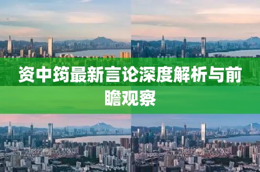 资中筠最新言论深度解析与前瞻观察