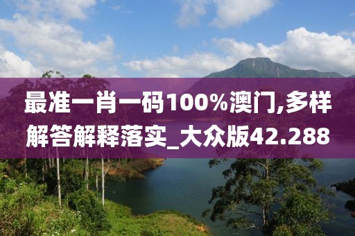 最准一肖一码100%澳门,多样解答解释落实_大众版42.288