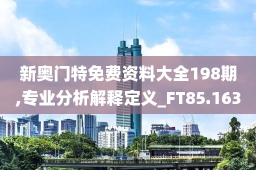 新奥门特免费资料大全198期,专业分析解释定义_FT85.163