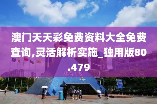 澳门天天彩免费资料大全免费查询,灵活解析实施_独用版80.479