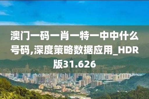 澳门一码一肖一特一中中什么号码,深度策略数据应用_HDR版31.626