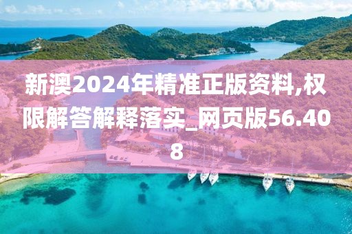 新澳2024年精准正版资料,权限解答解释落实_网页版56.408