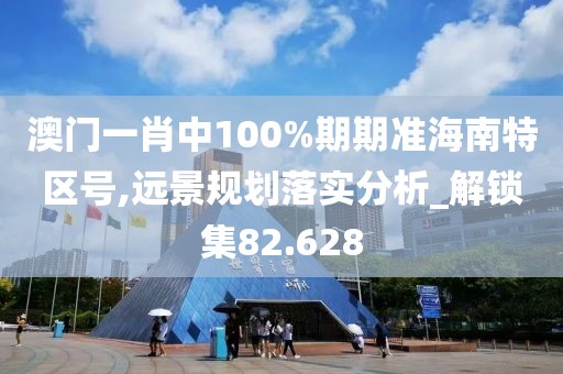 澳门一肖中100%期期准海南特区号,远景规划落实分析_解锁集82.628