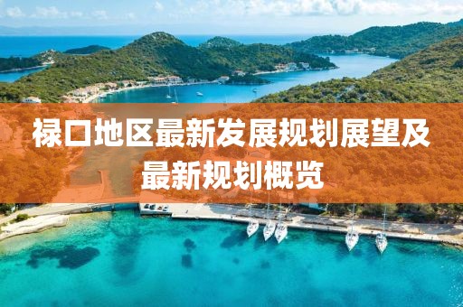 禄口地区最新发展规划展望及最新规划概览