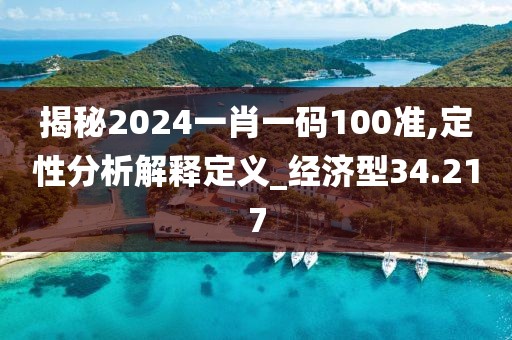 揭秘2024一肖一码100准,定性分析解释定义_经济型34.217