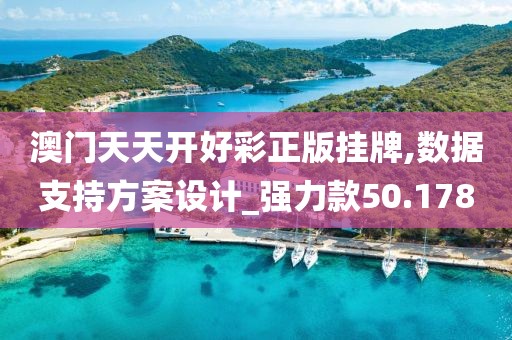 澳门天天开好彩正版挂牌,数据支持方案设计_强力款50.178