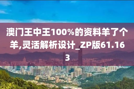 澳门王中王100%的资料羊了个羊,灵活解析设计_ZP版61.163