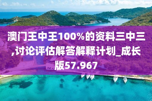 澳门王中王100%的资料三中三,讨论评估解答解释计划_成长版57.967