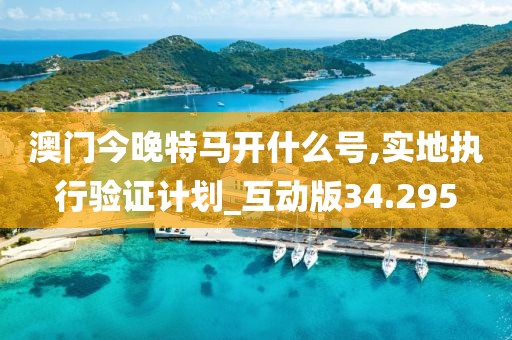 澳门今晚特马开什么号,实地执行验证计划_互动版34.295