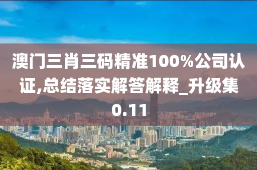 澳门三肖三码精准100%公司认证,总结落实解答解释_升级集0.11