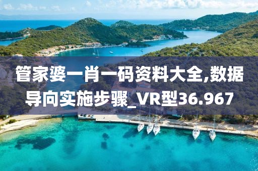 管家婆一肖一码资料大全,数据导向实施步骤_VR型36.967
