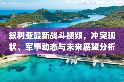 叙利亚最新战斗视频，冲突现状、军事动态与未来展望分析