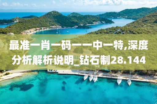 最准一肖一码一一中一特,深度分析解析说明_钻石制28.144