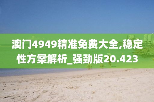 澳门4949精准免费大全,稳定性方案解析_强劲版20.423