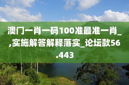 澳门一肖一码100准最准一肖_,实施解答解释落实_论坛款56.443