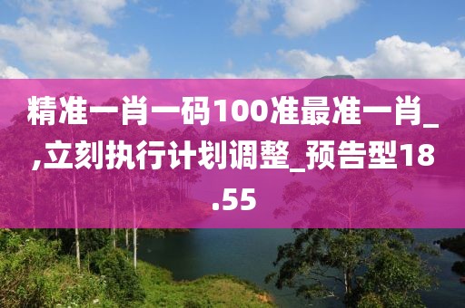 精准一肖一码100准最准一肖_,立刻执行计划调整_预告型18.55