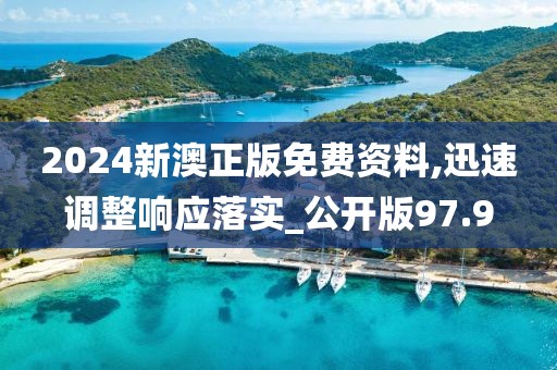 2024新澳正版免费资料,迅速调整响应落实_公开版97.9