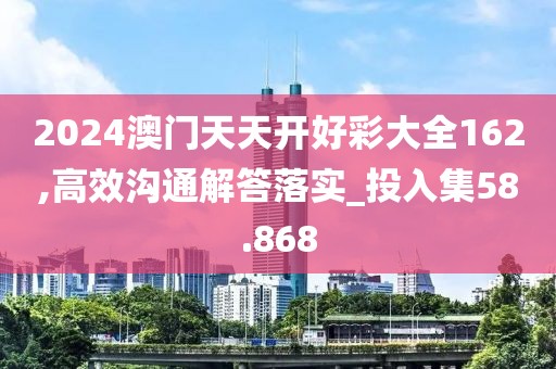2024澳门天天开好彩大全162,高效沟通解答落实_投入集58.868
