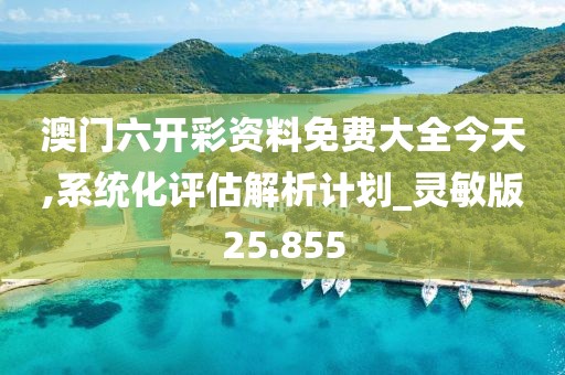 澳门六开彩资料免费大全今天,系统化评估解析计划_灵敏版25.855