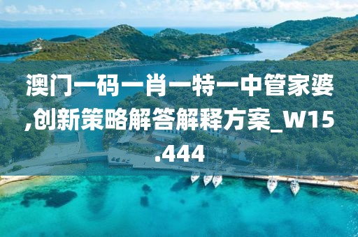 澳门一码一肖一特一中管家婆,创新策略解答解释方案_W15.444