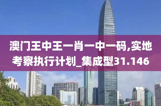 澳门王中王一肖一中一码,实地考察执行计划_集成型31.146